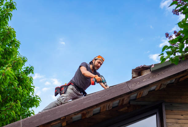 Best Roof Moss and Algae Removal  in La Plata, MD